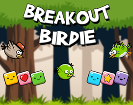 Breakout Birdie Image