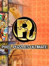 Pixel Puzzles Ultimate Image