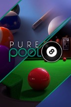 Pure Pool Image