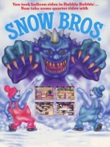 Snow Bros. Image