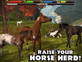 Ultimate Horse Simulator Image