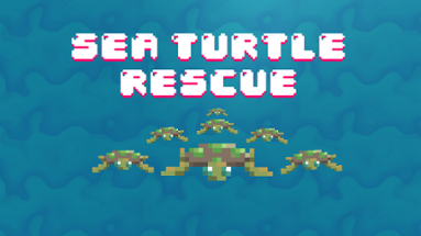 Sea Turtle Rescue Image