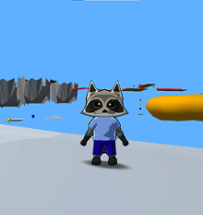 Balloon Raccoon Image