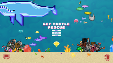 Sea Turtle Rescue Image