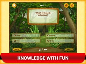 Learn Animal Quiz Games App Image