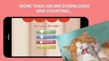 Best Game for Cats Image