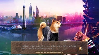 A Summer with the Shiba Inu Image