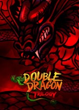 Double Dragon Trilogy Image