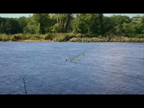 Musky Country Image