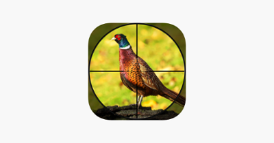 Pheasant Bow Hunting Safari Image