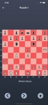 Agile Chess Puzzle Image