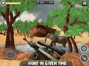 Dino Hunter: Hunting Game 2021 Image
