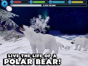Polar Bear Simulator Image
