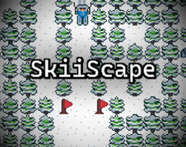 SkiiScape Image
