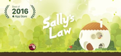 Sally's Law Image