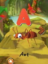 ABC Insects World Flashcards For Kids: Preschool and Kindergarten Explorers! Image