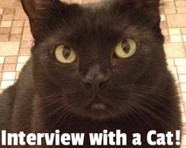 Interview with a Cat! Image