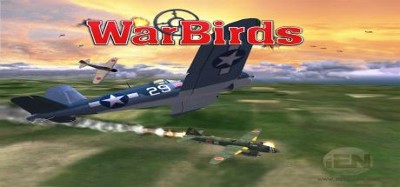 WarBirds: World War II Combat Aviation Image