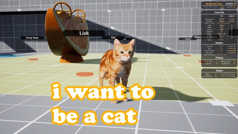 i want to be a cat Game Cover