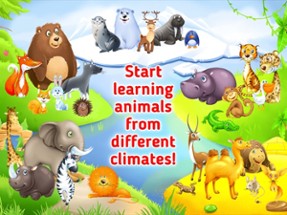 Learn Animals &amp; Animal Sounds for Toddlers &amp; Kids Image