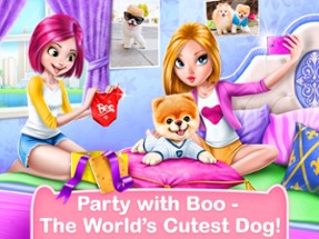 Boo - World's Cutest Dog Game Image