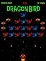 Dragon Bird Pro Image