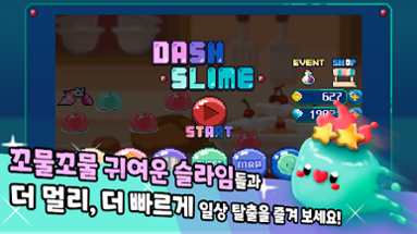 DashSilme Image