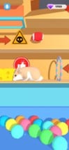 Hamster Maze Run Image