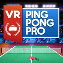 VR Ping Pong Pro Image