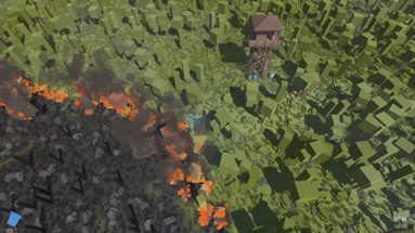 Forest Fire Image