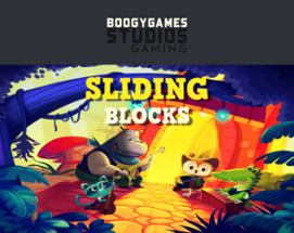 Sliding Blocks Image