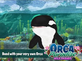 Orca Paradise: Wild Friends Image