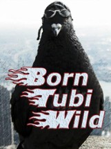 Born Tubi Wild Image