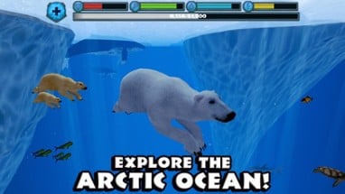 Polar Bear Simulator Image