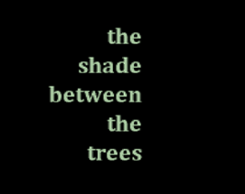 the shade between the trees Image