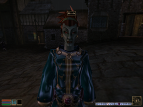 Brenda mage follower (Morrowind mod) Image