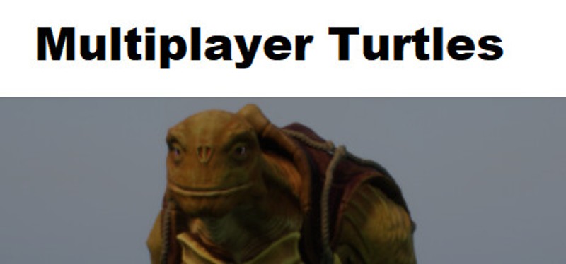 Multiplayer Turtles Game Cover