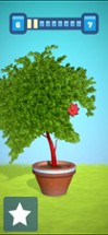 Topiary 3D Image