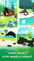 Forest Island : Relaxing Game Image