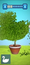 Topiary 3D Image