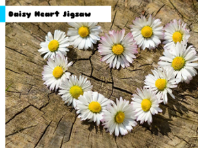 Daisy Heart Jigsaw Image