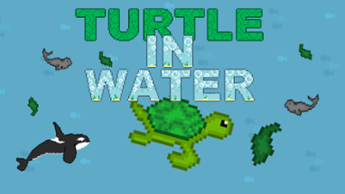 Turtle in water Image