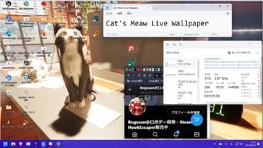 Cat's Meow Live Wallpaper Image