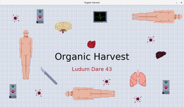 Organic Harvest Image