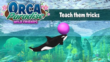 Orca Paradise: Wild Friends Image