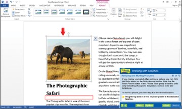 Professor Teaches® Word 2013 & 365 Image