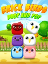 Brick Birds - Drop &amp; Pop Image