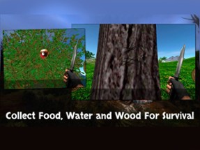 Survival on the Island Image