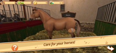 HorseWorld: Premium Image