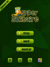 .Spider Solitaire Image